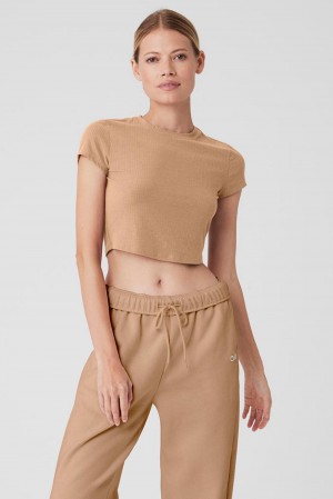 Toasted Almond Women Alo Yoga Ribbed Sea Coast Cropped Sleeve Tee | Australia 36548-MBJV